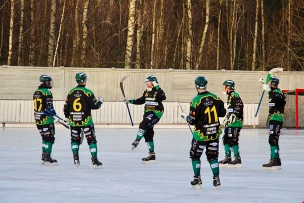 H�rneffektivitet i storsegern