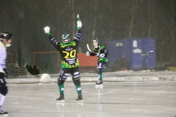 Calle Johanssons trippel s�nkte Gripen