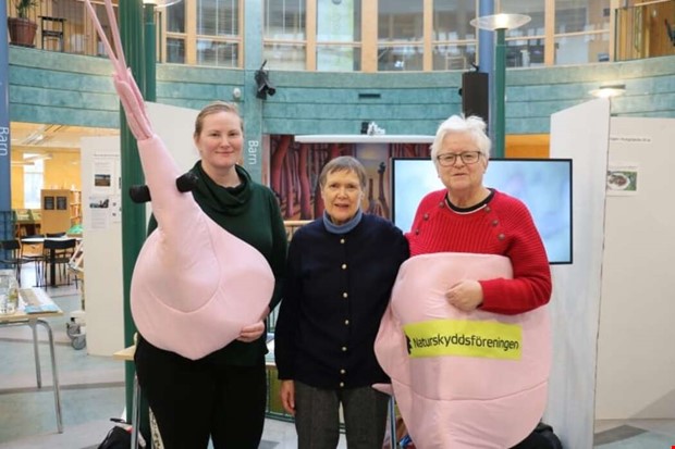 Trffa en rka och sjstjrna p Fyren