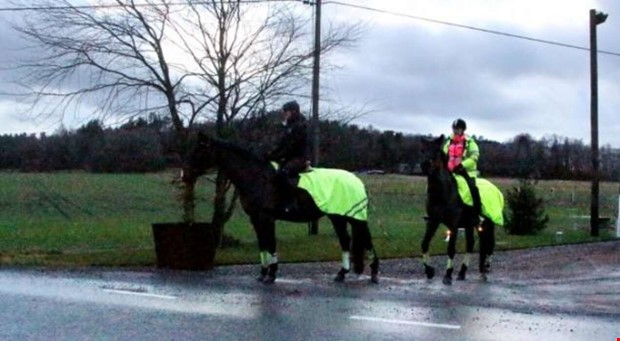 Cyklar och hstar samsas dligt