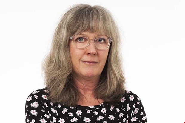 Anfallen av en aggressiv mås Anfallen av en aggressiv mås