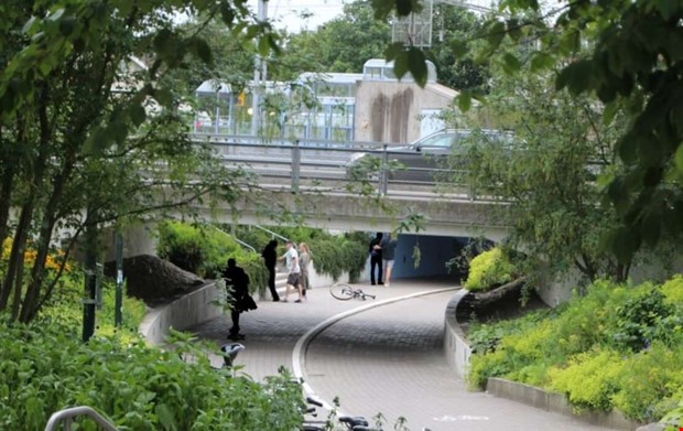 Kokainanvndandet har exploderat