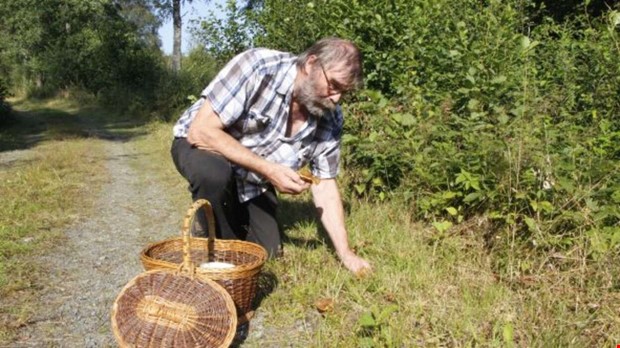 P jakt efter matsvamp