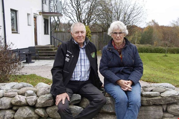 Jag r nyfiken s in i vassen