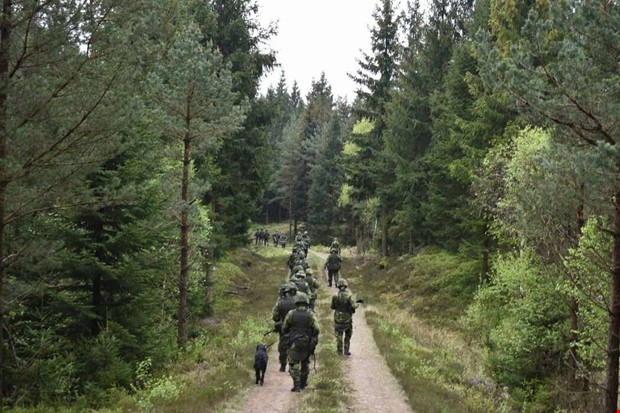 Hemvrnet har blivit hett