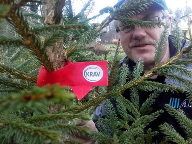 Milj�smarta julgranar