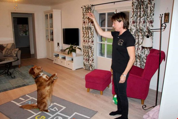 Trning blir kravls och rolig med Tipi