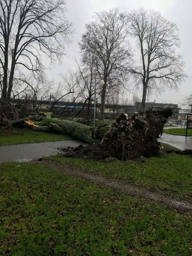 Stormen Ciara dundrar in - men inget kaos