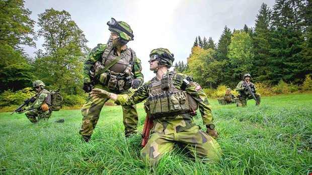 Rekordm�nga unga vill g�ra lumpen