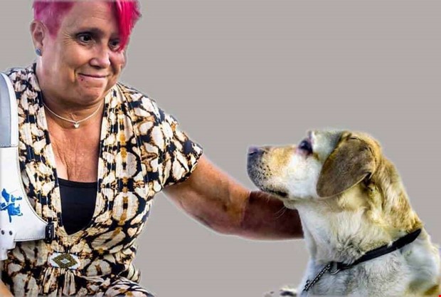 Social distans temat p rets ledarhundsdag