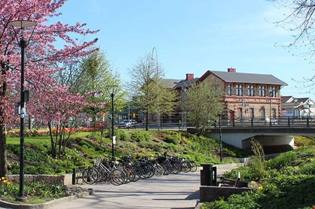 Nu kommer kamerorna upp