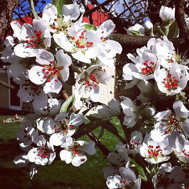 Veckans läsarbilder Veckans läsarbilder