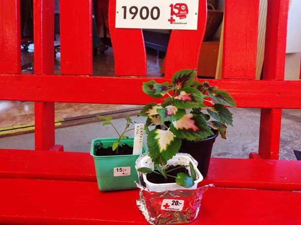 Tillskott som blommar ut och ger lite klirr i kassan