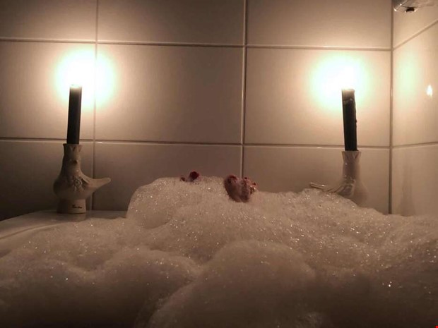 Inget varmvatten p� grund av driftsfel