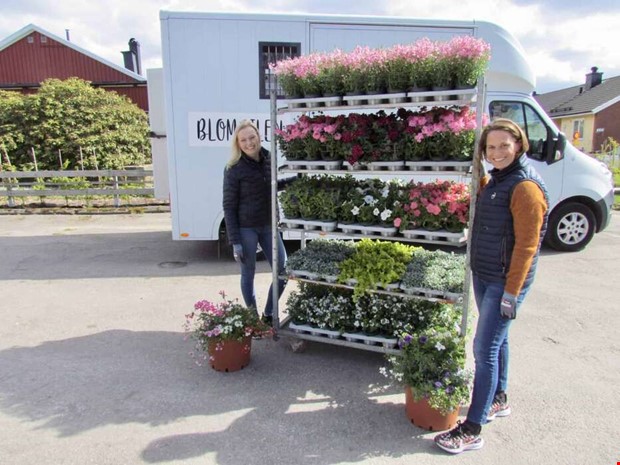 Rattar bil full med blommor