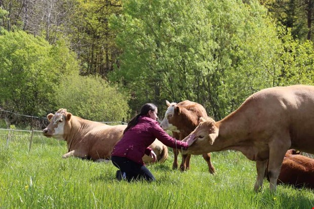 Cykeltur med smak av Vallda