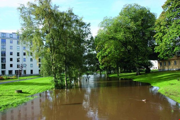 Debatt: Dags för muddring? Debatt: Dags för muddring?