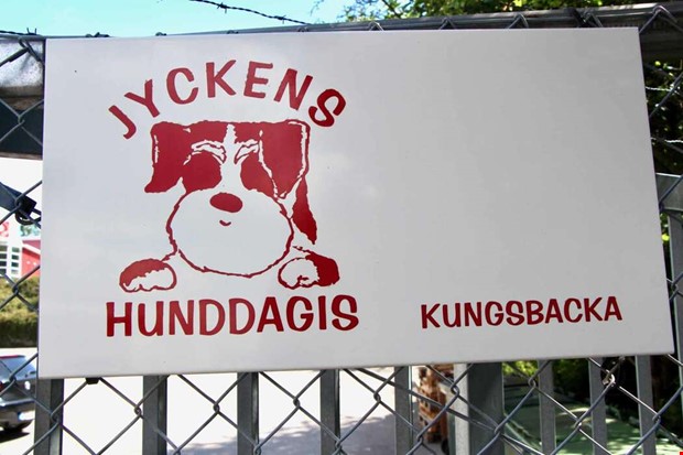 Jycken l�ggs ner