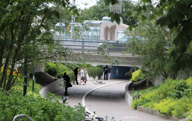 Vi ser en oroande utveckling