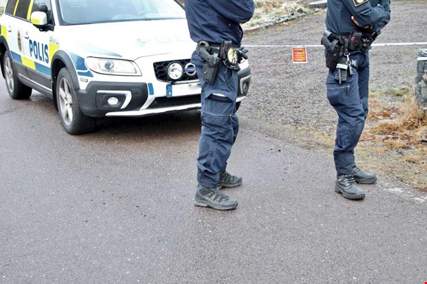 Livstids fngelse fr annandagsmordet