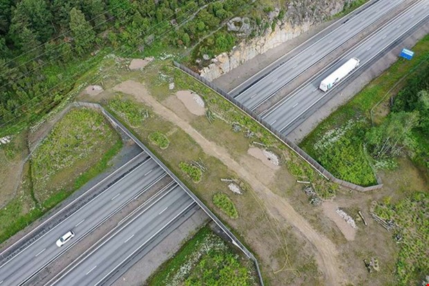 Ekodukten över E6:an används flitigt