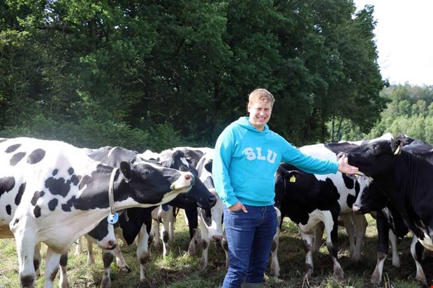 Ung entusiast gr mot strmmen