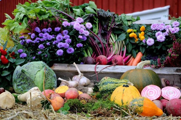 Utspridd skrdefest med ppna grdar