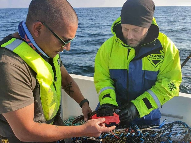 Lyckad premir i rets hummerfiske