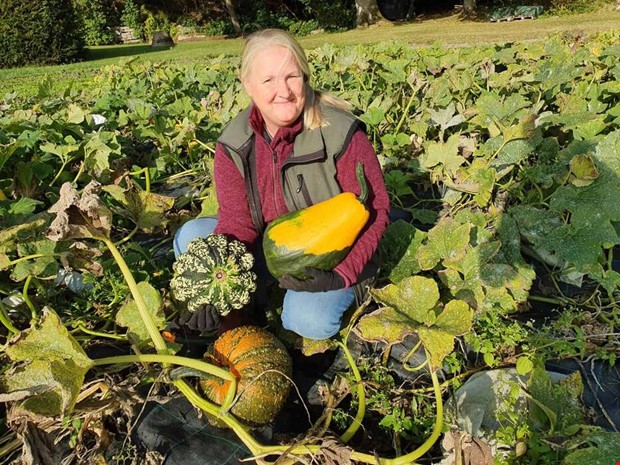 En sort fr alla smaker