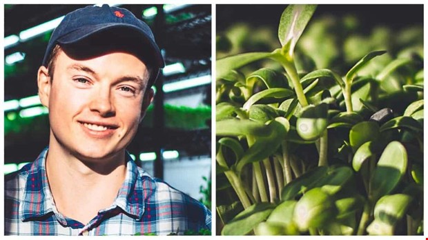 Han kan odla ett halvt ton grnsaker p 20 kvadrat