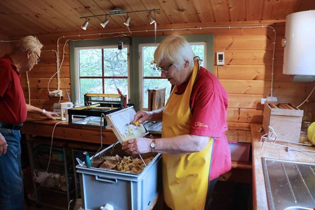 Ovanligt bra r fr ljunghonung