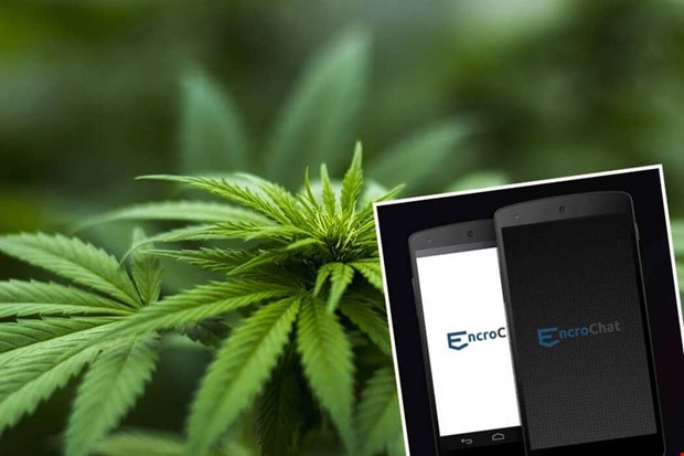 79 kilo cannabis och EncroChat-telefon