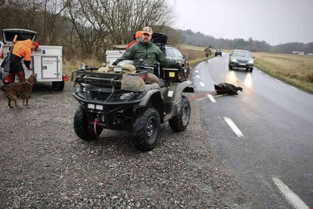 Jgare fllde vildsvin i Vallda