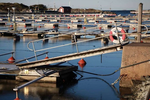 Juldagen - en solskenshistoria