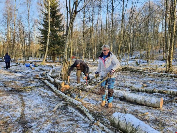 Ideella krafter terstller gamla betesmarker