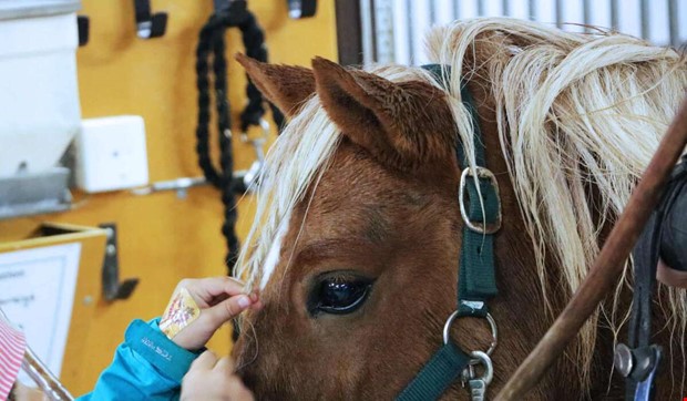 Misstänkt inbrott på hästgård Misstänkt inbrott på hästgård