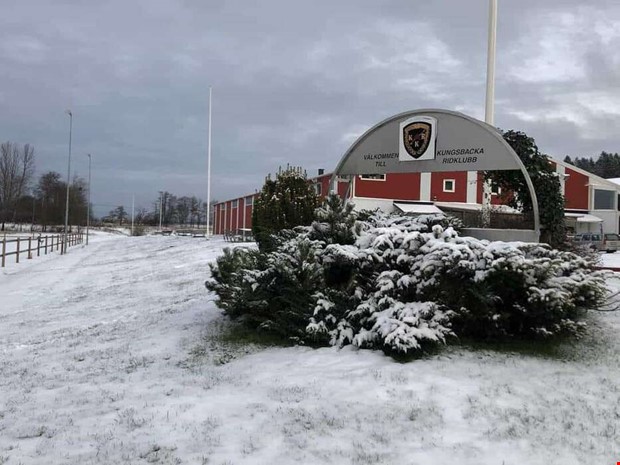 Stänger på grund av hästviruset