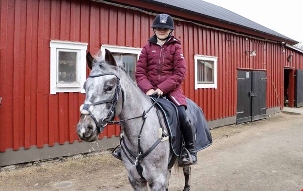 Så påverkas ridsporten av hästviruset
