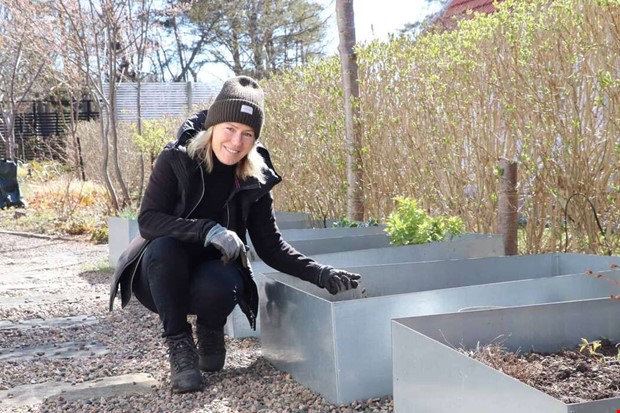 Hr r heta trenderna i trdgrden