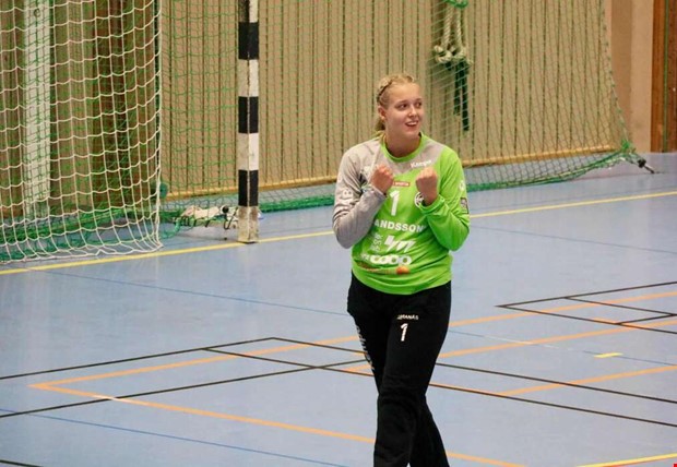 Gldjen bakom mlvaktens avsked