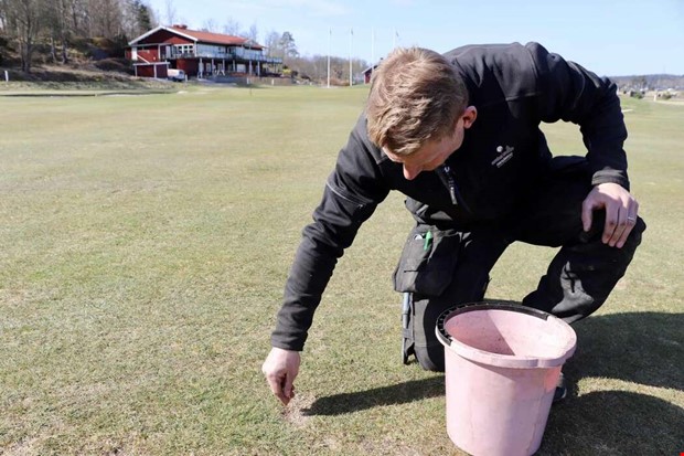 Experten: S� f�r du en fin gr�smatta