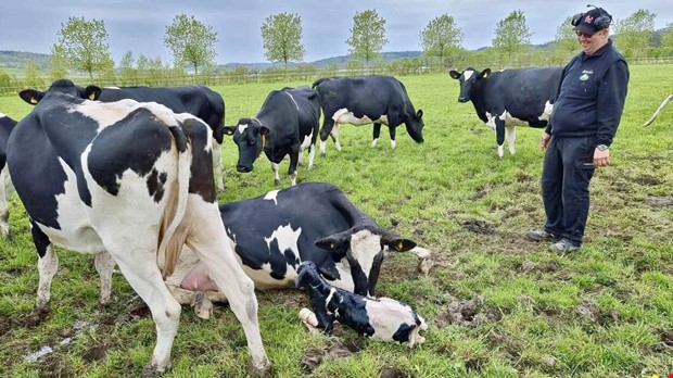 Bygger ut med nya stallar och robotar