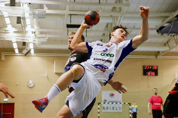 Slitvargen fr hedersuppdrag