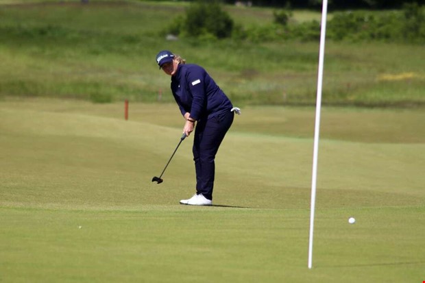 Hedwall r det stora svenskhoppet