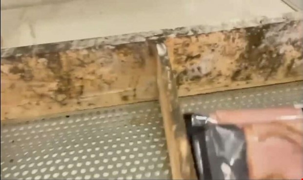 Mgel hittades i kyldisken