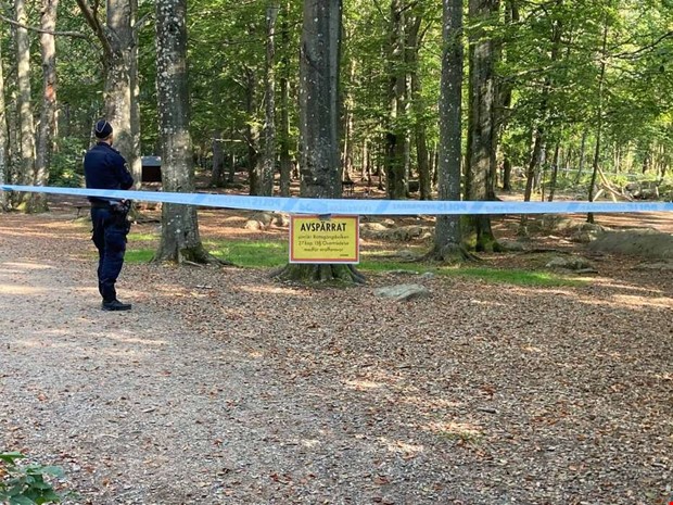 klagare frtegen om vldtkten