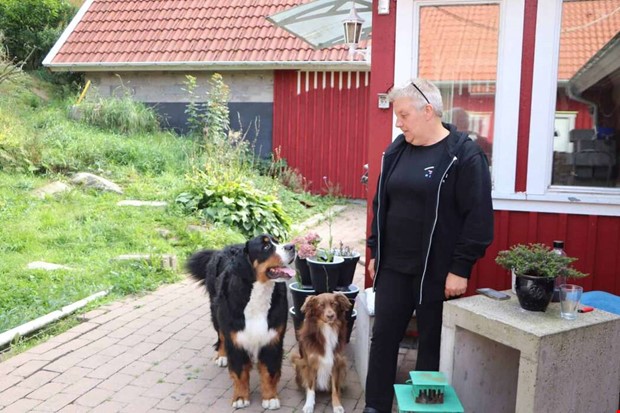 Susan vill vrna om coronahundarna