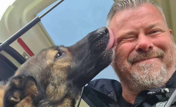 Polishunden Nisse lmnar Kungsbacka  nya ventyr vntar