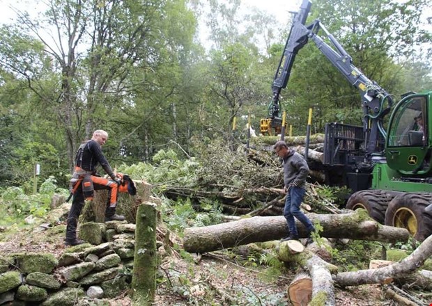 Kritik mot torpr�jning