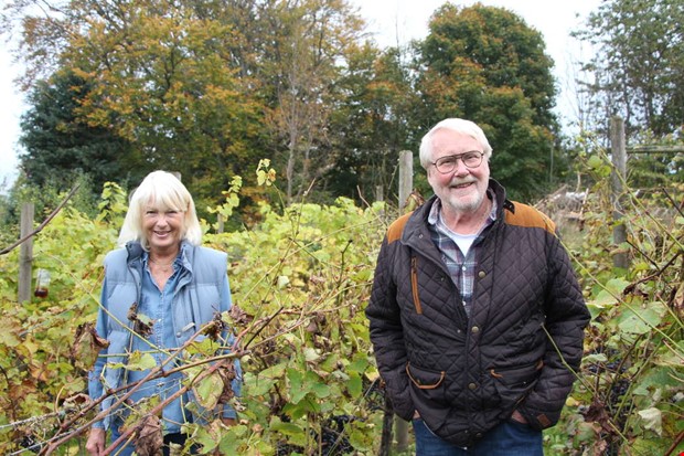 Efter 15 r - nu sljs vingrden i Kungsbacka